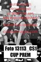 13113_CS1-CUP-PREM