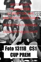 13118_CS1-CUP-PREM