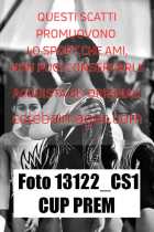 13122_CS1-CUP-PREM