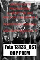 13123_CS1-CUP-PREM