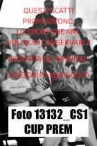 13132_CS1-CUP-PREM