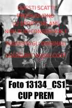 13134_CS1-CUP-PREM