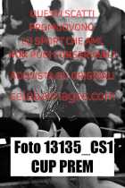 13135_CS1-CUP-PREM