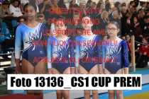 13136_CS1-CUP-PREM