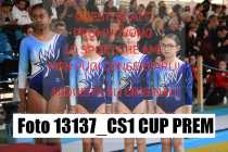13137_CS1-CUP-PREM