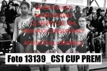 13139_CS1-CUP-PREM