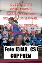 13140_CS1-CUP-PREM