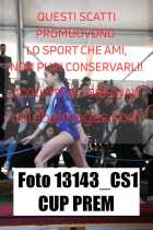 13143_CS1-CUP-PREM