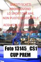 13145_CS1-CUP-PREM