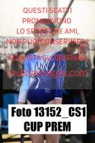 13152_CS1-CUP-PREM