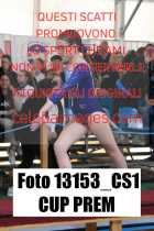 13153_CS1-CUP-PREM