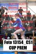 13154_CS1-CUP-PREM