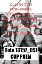 13157_CS1-CUP-PREM
