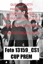 13159_CS1-CUP-PREM
