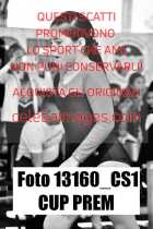 13160_CS1-CUP-PREM