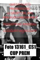 13161_CS1-CUP-PREM