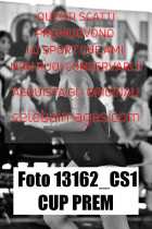 13162_CS1-CUP-PREM