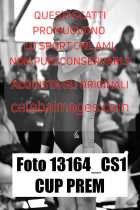 13164_CS1-CUP-PREM