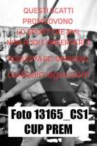 13165_CS1-CUP-PREM