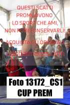 13172_CS1-CUP-PREM