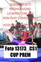 13173_CS1-CUP-PREM