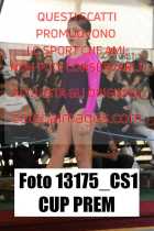 13175_CS1-CUP-PREM