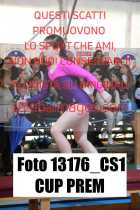 13176_CS1-CUP-PREM