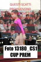 13180_CS1-CUP-PREM