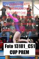 13181_CS1-CUP-PREM