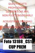 13188_CS1-CUP-PREM