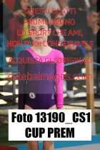 13190_CS1-CUP-PREM