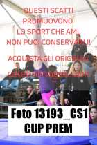 13193_CS1-CUP-PREM
