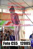 CS5_12085