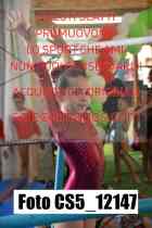 CS5_12147