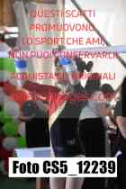 CS5_12239