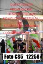 CS5_12258