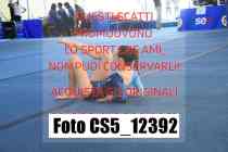 CS5_12392