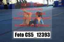 CS5_12393