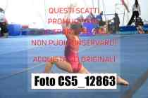 CS5_12863