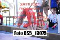 CS5_13075