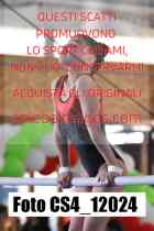 CS4_12024-
