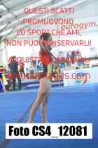 CS4_12081-