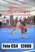 CS4_12088-
