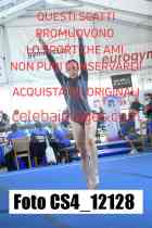 CS4_12128-
