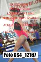 CS4_12167-