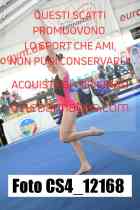 CS4_12168-
