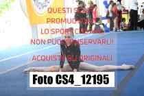 CS4_12195-