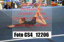 CS4_12206-