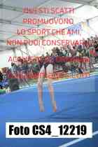 CS4_12219-