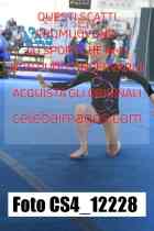 CS4_12228-